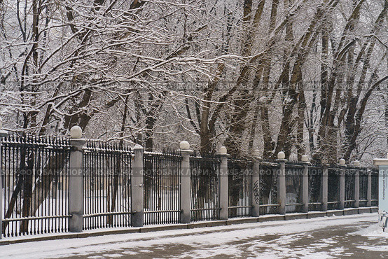 Московская улица зимой (2019 год). Стоковое фото, фотограф YuryKara / Фотобанк Лори