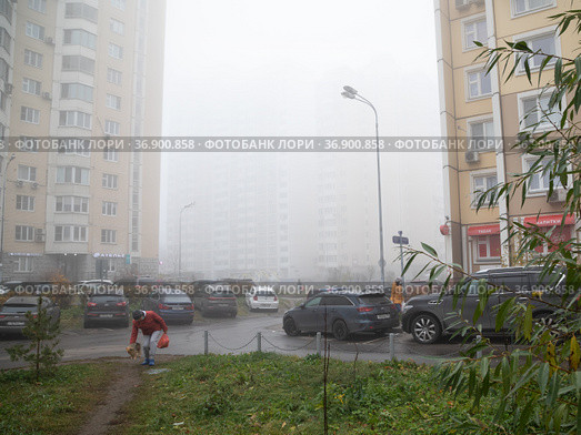 Москва, микрорайон Марфино, СВАО. Женщина в красной куртке с маленькой собачкой на газоне внутри жилого квартала. Низкая видимость, плотный туман накрыл город (2021 год). Редакционное фото, фотограф Наталья Николаева / Фотобанк Лори