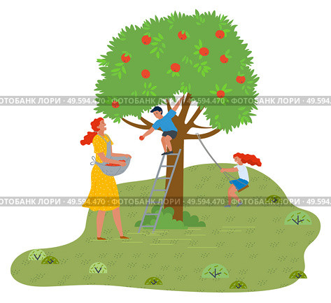 Mother, son and daughter have fun in the garden. Son sits on an apple tree and throws apples, mother collects apples in an apron, daughter swings on a homemade carousel. Fresh air outdoor activity. Family have fun in fresh air in the garden near apple tree. Mother, son and daughter. Flat image. Стоковая иллюстрация, агентство Ingram Publishing / Фотобанк Лори