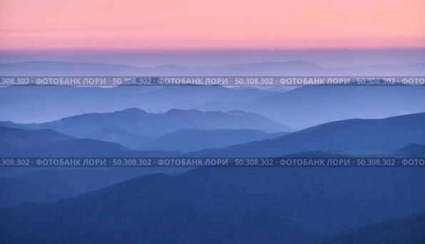 Mountain ridges in fog at sunset in autumn. Beautiful landscape with foggy mountain valley, rocks, forest, pink sky in fall at dusk in blue hour. Aerial view of hills. Top view. Nature background. Стоковое фото, агентство Ingram Publishing / Фотобанк Лори