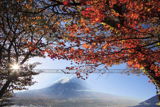 Mt. Fuji with fall colors in Japan. Стоковое фото, фотограф Nicholas Han / PantherMedia / Фотобанк Лори