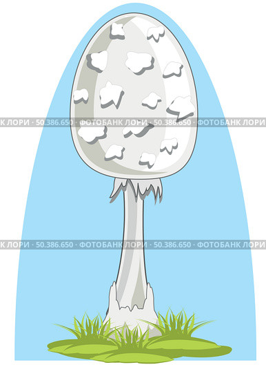 Mushroom toadstool on white background is insulated. Стоковая иллюстрация, иллюстратор Шипицин Евгений Витальевич / Фотобанк Лори