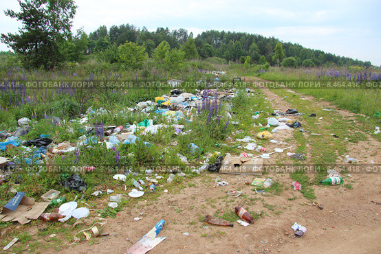 Мусорная свалка за деревней Дрожжино около Угры (2015 год). Редакционное фото, фотограф Елена Ильина / Фотобанк Лори