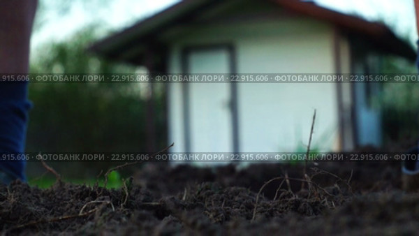 Мужчина подходит и сажает в землю цветы "Анютины глазки" Стоковое видео, видеограф Георгий Дзюра / Фотобанк Лори