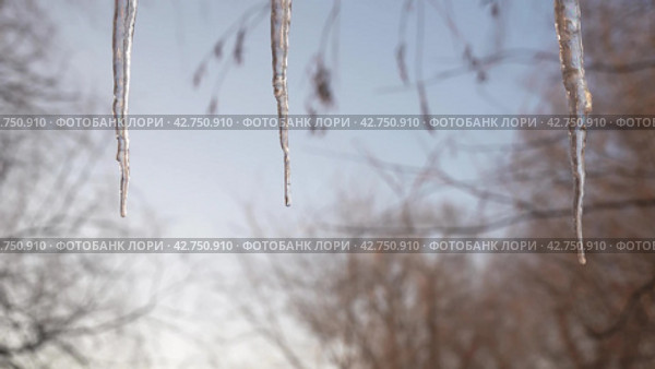 Мужская рука сбивает сосульки с края крыши. Male hand knocks icicles from edge roof. Стоковое видео, видеограф EStarodubov / Фотобанк Лори
