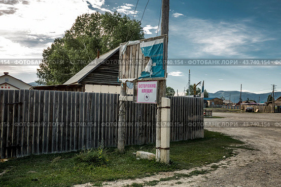На улицах села Курай. Табличка на столбе "Осторожно клещи".  Кош-Агачский район Горного Алтая. (2024 год). Стоковое фото, фотограф Евгений Мухортов / Фотобанк Лори