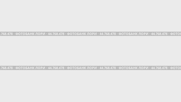 Набор анимаций, символ двух тузов. Анимации: прозрачность, масштабирование, переход сверху вниз, переход слева направо, скольжение вверх-вниз, скольжение слева направо. Стоковое видео, видеограф Карпенко Алексей / Фотобанк Лори