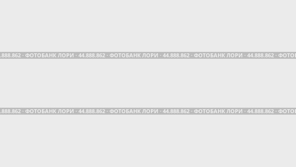 Набор анимаций, символ полукруга. Анимации: прозрачность, масштабирование, переход сверху вниз, переход слева направо, скольжение вверх-вниз, скольжение слева направо. Стоковое видео, видеограф Карпенко Алексей / Фотобанк Лори