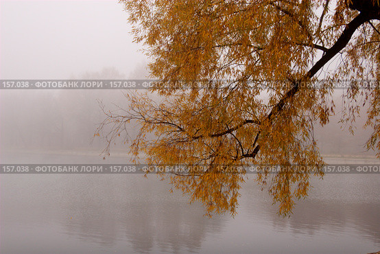 Над прудом. Стоковое фото, фотограф Julia Shepeleva / Фотобанк Лори