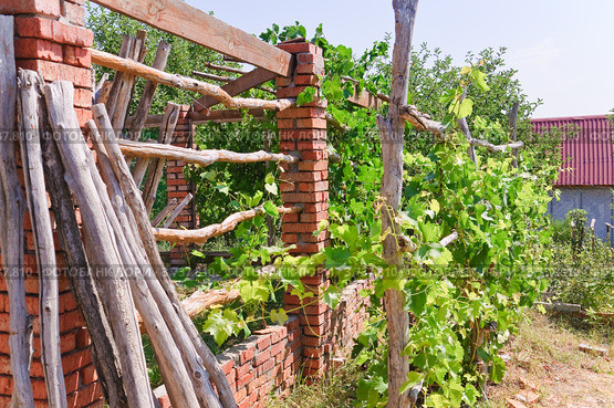 Недостроенная постройка на дачном участке. Стоковое фото, фотограф Алёшина Оксана / Фотобанк Лори