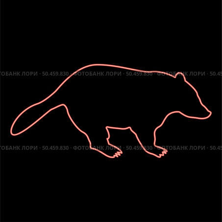 Neon badger animal wild Meles Taxus predatory mammal family kunihih Carnivore red color vector illustration image flat style light. Neon badger animal wild Meles Taxus predatory mammal family kunihih Carnivore red color vector illustration image flat style. Стоковая иллюстрация, агентство Ingram Publishing / Фотобанк Лори