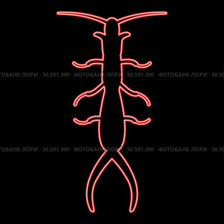 Neon earwig red color vector illustration image flat style light. Neon earwig red color vector illustration image flat style. Стоковая иллюстрация, агентство Ingram Publishing / Фотобанк Лори