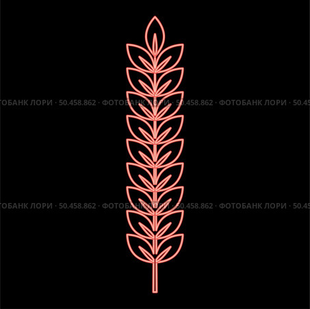 Neon spikelet of wheat Plant branch red color vector illustration image flat style light. Neon spikelet of wheat Plant branch red color vector illustration image flat style. Стоковая иллюстрация, агентство Ingram Publishing / Фотобанк Лори