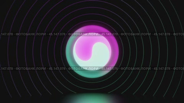Neon yin yang symbol pulsating on black background. Стоковое видео, видеограф Данил Руденко / Фотобанк Лори