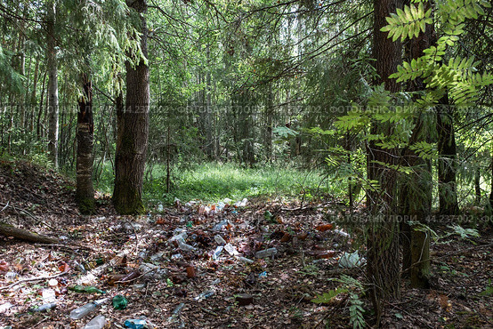 Незаконная свалка мусора на краю леса в Кировской области. Стоковое фото, фотограф Ольга Визави / Фотобанк Лори