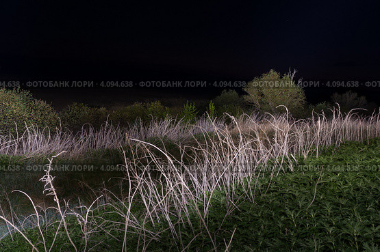 Ночная просёлочная дорога в свете фар. Стоковое фото, фотограф Сергей Костарев / Фотобанк Лори