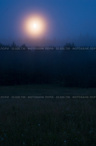 Ночной лес и луна. Стоковое фото, фотограф Евгений Романов / Фотобанк Лори