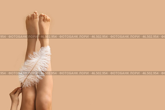 Ноги молодой женщины с мягким пером на коричневом фоне. Концепция эпиляции. Стоковое фото, фотограф Pixel_shot / Фотобанк Лори