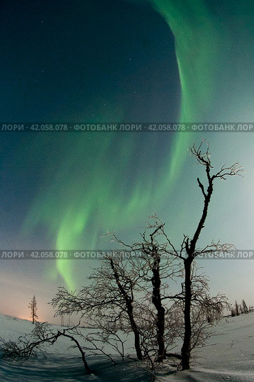 Northern lights reflected in the water. Стоковое фото, фотограф Данил Хусаинов / Фотобанк Лори