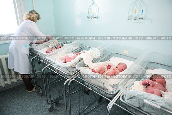 Новорожденные (2009 год). Редакционное фото, фотограф Анатолий Типляшин / Фотобанк Лори