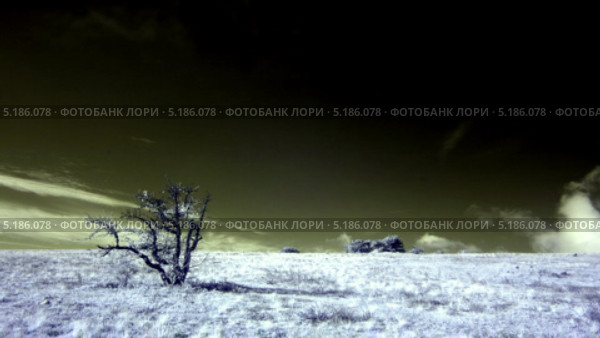 Облака над горами, таймлапс, инфракрасное видео (2013 год). Стоковое видео, видеограф Артем Поваров / Фотобанк Лори