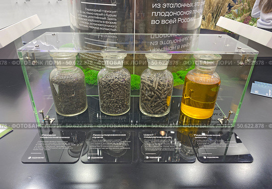 Образцы сырья и побочных продуктов при производстве подсолнечного масла. Экспозиция Курской области на Международной выставке-форуме «Россия» на ВДНХ, Москва (2024 год). Редакционное фото, фотограф Мария Кылосова / Фотобанк Лори