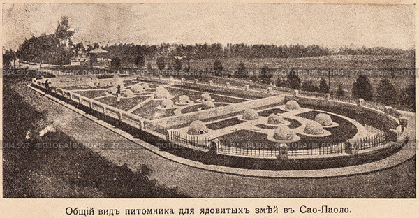 Общий вид питомника для ядовитых змей в Сан-Паулу. Бразилия. Иллюстрация из журнала "Природа и люди", 1915 года. Стоковая иллюстрация, иллюстратор Макаров Алексей / Фотобанк Лори