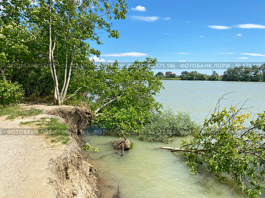 Обвалившийся берег реки Кубань, Краснодар (2021 год). Стоковое фото, фотограф Мария Кылосова / Фотобанк Лори