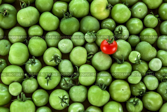 Odd One Out? Business Concept - different, original, standing out - advertising! Стоковое фото, агентство Ingram Publishing / Фотобанк Лори