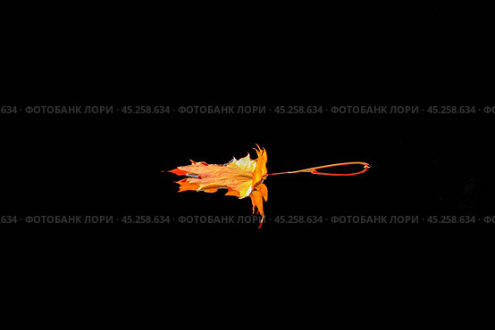 Одинокий оранжевый лист на черном фоне. Стоковое фото, фотограф Валерий Леонидович / Фотобанк Лори