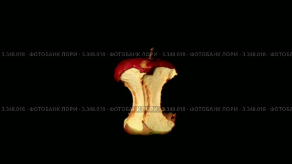 Огрызок яблока, таймлапс. Стоковое видео, видеограф Артем Поваров / Фотобанк Лори