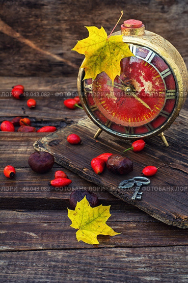 old alarm clock in the autumn style. retro alarm clock with dial with arabic numerals on a background with maple leaves and wild roses. Стоковое фото, агентство Ingram Publishing / Фотобанк Лори