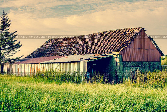 Old barn house surrounded by tall grass. Стоковое фото, агентство Ingram Publishing / Фотобанк Лори