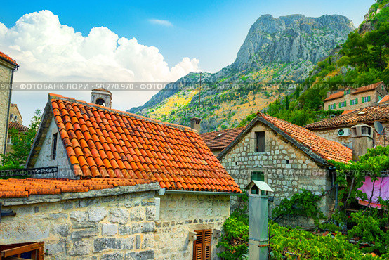Old buildings with red-orange roofs in Kotor in Montenegro. Roofs in Kotor. Стоковое фото, агентство Ingram Publishing / Фотобанк Лори