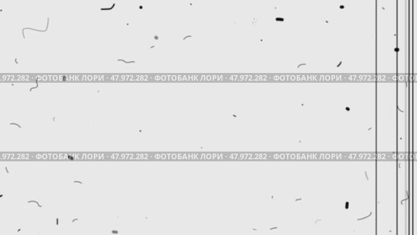 Old Film Effect Scratch, Dust, Noise Overlay. White organic dust particles moving on a white background. Стоковое видео, видеограф Kirill Tonkikh / Фотобанк Лори