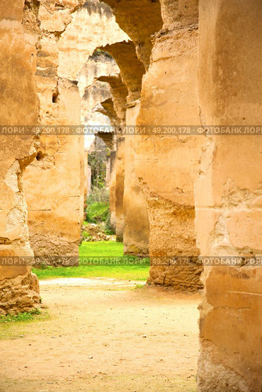 old moroccan granary in the green grass and archway  wall. Стоковое фото, агентство Ingram Publishing / Фотобанк Лори