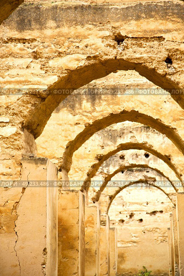 old moroccan granary in the green grass and archway  wall. Стоковое фото, агентство Ingram Publishing / Фотобанк Лори