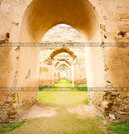 old moroccan granary in the green grass and archway  wall. Стоковое фото, агентство Ingram Publishing / Фотобанк Лори