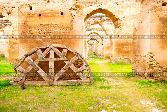 old moroccan granary in the green grass and archway  wall. Стоковое фото, агентство Ingram Publishing / Фотобанк Лори