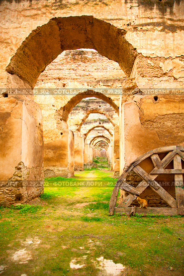 old moroccan granary in the green grass and archway  wall. Стоковое фото, агентство Ingram Publishing / Фотобанк Лори