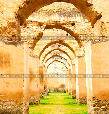 old moroccan granary in the green grass and archway  wall. Стоковое фото, агентство Ingram Publishing / Фотобанк Лори