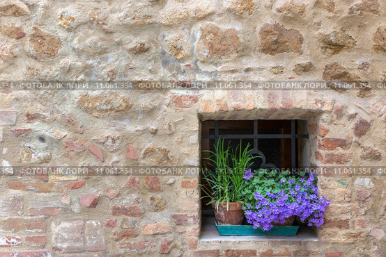 Old Tuscany building with flowers, Pienza, Italy. Стоковое фото, фотограф Frank Fischbach / Smarterpix / Фотобанк Лори