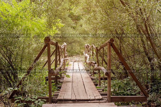 Old, wooden bridge over the river in the forest. Стоковое фото, фотограф Татьяна Ляпи / Фотобанк Лори
