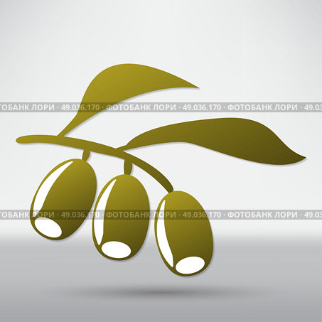 Olive branch. Стоковая иллюстрация, агентство Ingram Publishing / Фотобанк Лори