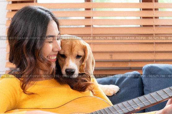 On a weekend, A young Asian woman and her beagle puppy are playing the guitar and singing cheerfully together in the living room of a house. Стоковое фото, агентство Ingram Publishing / Фотобанк Лори