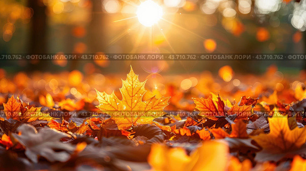 orange fall leaves in park, sunny autumn natural background. Стоковое AI-изображение, AI-художник Ирина Михайличенко / Фотобанк Лори