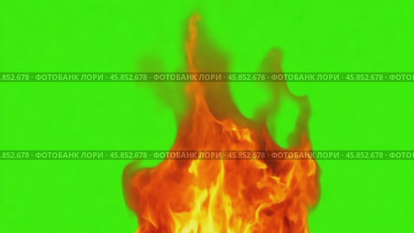 Orange Red Flames Engulf on green screen background. Vibrant fire animated on green backdrop. Burning flame animation. Frame Template. Chroma key. Motion graphics. Creative video for overlay. Inferno. Стоковое AI-видео, аниматор Марина Демидюк / Фотобанк Лори