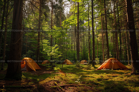 Orange tents nestled in a serene forest setting. Стоковое AI-изображение, AI-художник Иван Рябоконь / Фотобанк Лори