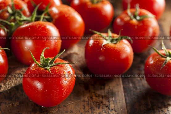 Organic Red Ripe Tomatoes on the Vine. Стоковое фото, агентство Ingram Publishing / Фотобанк Лори