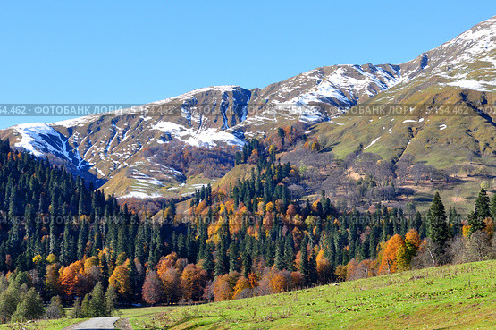 Осень в долине Ауадхары, Абхазия (2013 год). Стоковое фото, фотограф Анна Мартынова / Фотобанк Лори